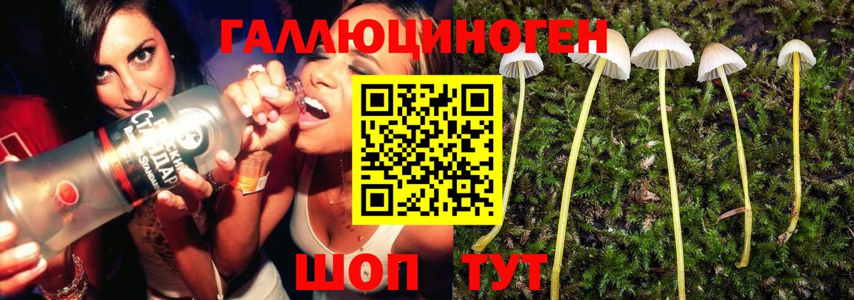 цены наркотик  Вход с VPN  Балашиха  Псилоцибиновые грибы Cubensis 